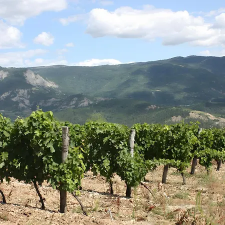 La Bastide Des Monge - Lola * Vercheny